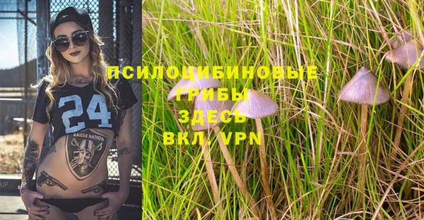 тгк Нефтекумск