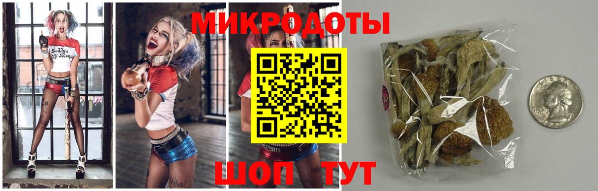 Псилоцибиновые грибы GOLDEN TEACHER  Галлюциногенные грибы прущие грибы  Вход с VPN  Рязань 